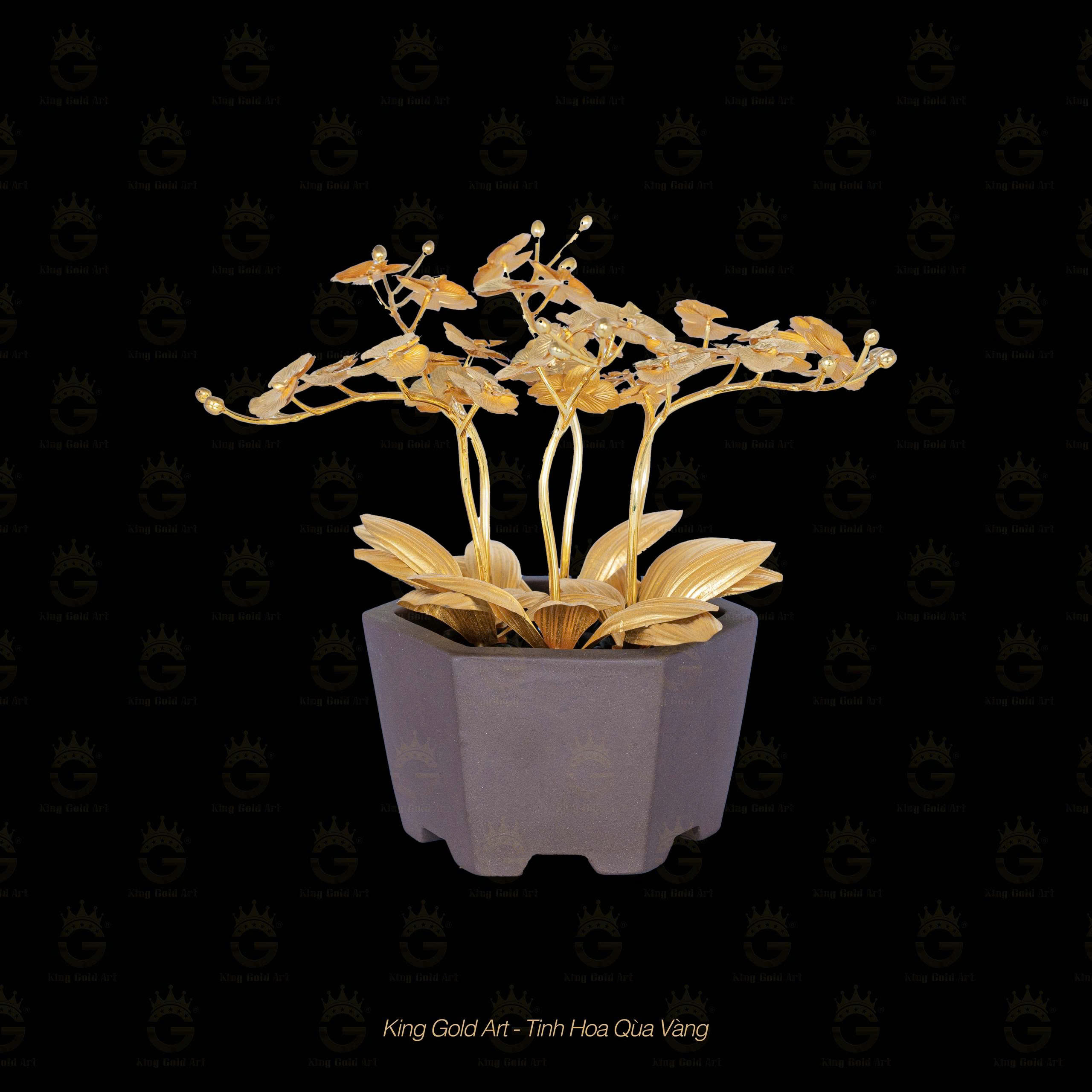 Bình Hoa Lan để bàn mini 6 nhánh 